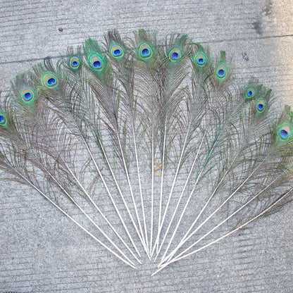 Natural Peacock Feathers 25-70cm for Crafts, Wedding Decorations, Home Décor, Fashion Accessories, and Party Decorations
