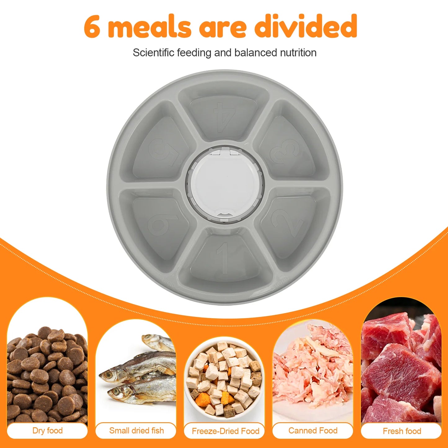 Automatic Pet Feeder 6-Grids 24 Hour Timing Wet/Dry Snacks Feeding Device Battery Powered For Cats Dogs Foods Dispenser NEW