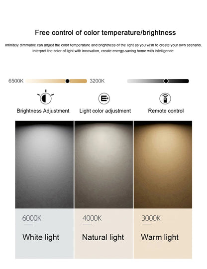 LED Ceiling Lamps Interior Lighting Home Decoration Bedroom Closets Living Room Study Kitchen Corridor Ceiling Nordic Light