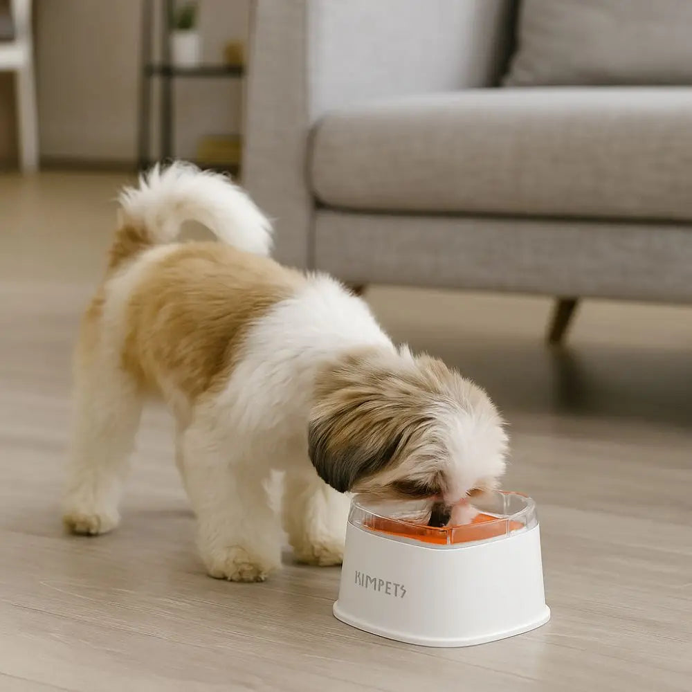 Non-Wetting Mouth Pet Floating Bowl Spill Proof Removable Dogs Slow Drinking Bowl Large Capacity Anti-Tip Pet Water Bowl Cattery