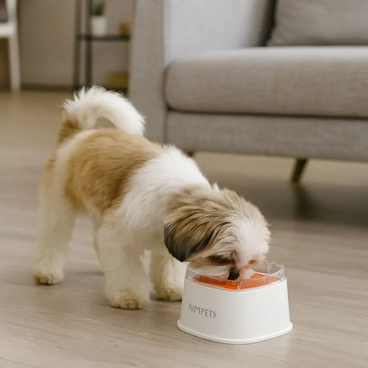 Non-Wetting Mouth Pet Floating Bowl Spill Proof Removable Dogs Slow Drinking Bowl Large Capacity Anti-Tip Pet Water Bowl Cattery