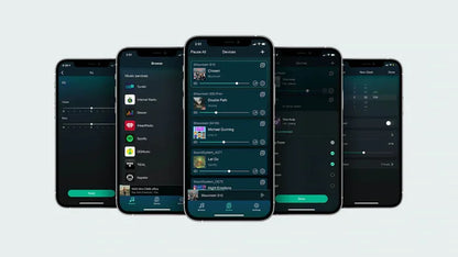 Arylic Up2Stream Plate Amp 2.1 WiFi&Bluetooth 5.0 Multiroom Audio 50*2W+100W Amplifier Board With tadilAirplay Equalizer