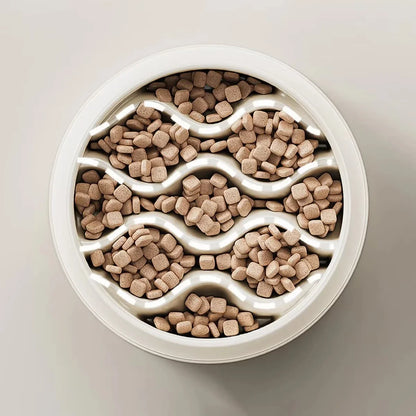 Paw Print Slow Feeder Bowls for Dogs, Cat Non-Spill Pet Food Water Dish, Easy Clean, Digestive Health, Dual-Use Prevents Choking