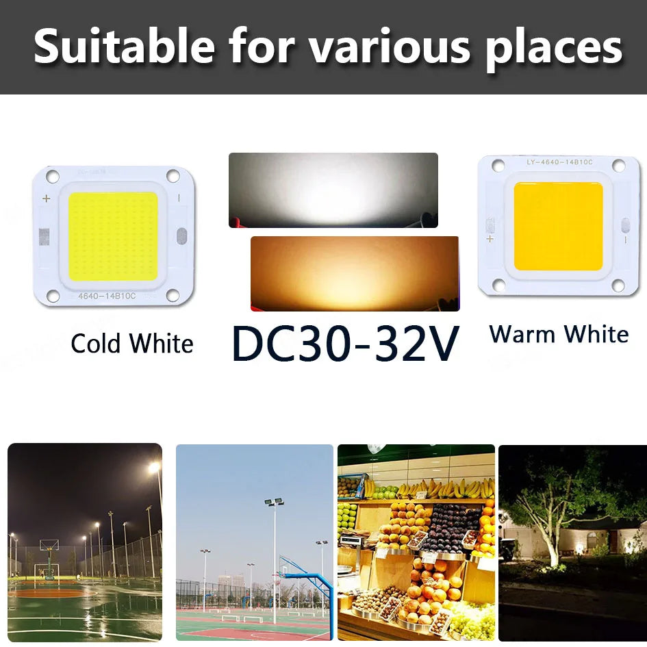 Smart IC No Need Driver LED COB Lamp Bead DC27-36V 10W 50W 60W 70W DIY Flood Light Bulb Outdoor Spotlight Landscape Chip Lamps