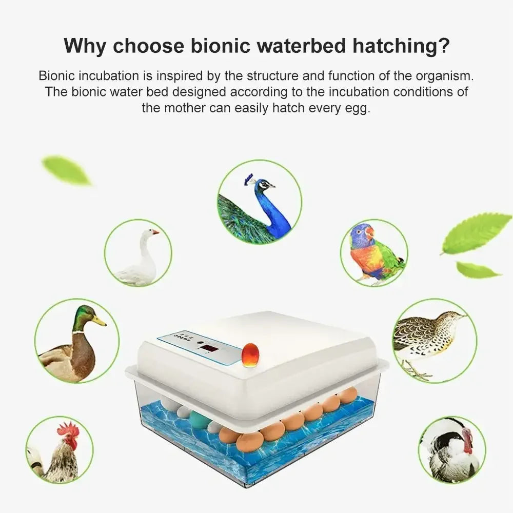 20 Eggs Incubator Turning Hatching Brooder Farm Bird Quail Chicken Poultry Farm Hatcher Turner Incubation Tool