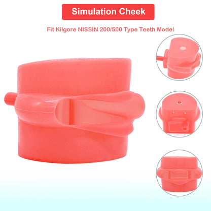 Dental Teeth Model Dental Teaching Models Implant Model Removable Dentistry Model Teeth For Training Studying Patient Education