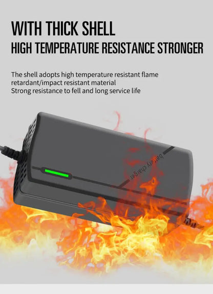 36V 48V 60V 72V Charger 2A 5A Lithium Battery Pack 42 54.6 67.2 84V 10 13 16 20S Smart Intelligent Fast Charging Charger EU Plug