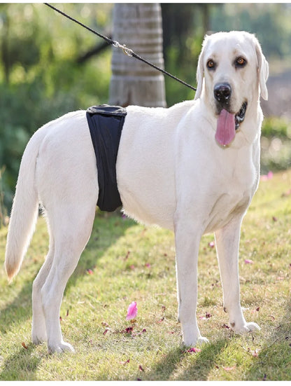 Washable Male Dog Diaper Reusable Pet Physiological Sanitary Pants Nappy Belly Band Wrap Hight Absorbent Leak Proof Diapers