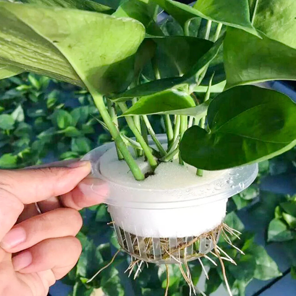 Hydroponic Basket 10pcs Plant Containers Grow Pots High Quality Round Shape Heavy Duty Net Cups Indoor and Outdoor Home Supplies