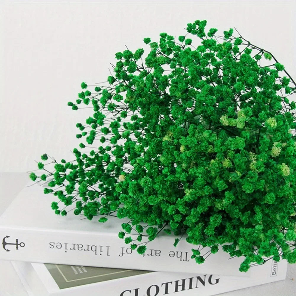 130g Natural Dried Preserved Flowers Babys Breath Home Decoration Natrual Gypsophila Wedding Decor Artificial Flower Photo Props