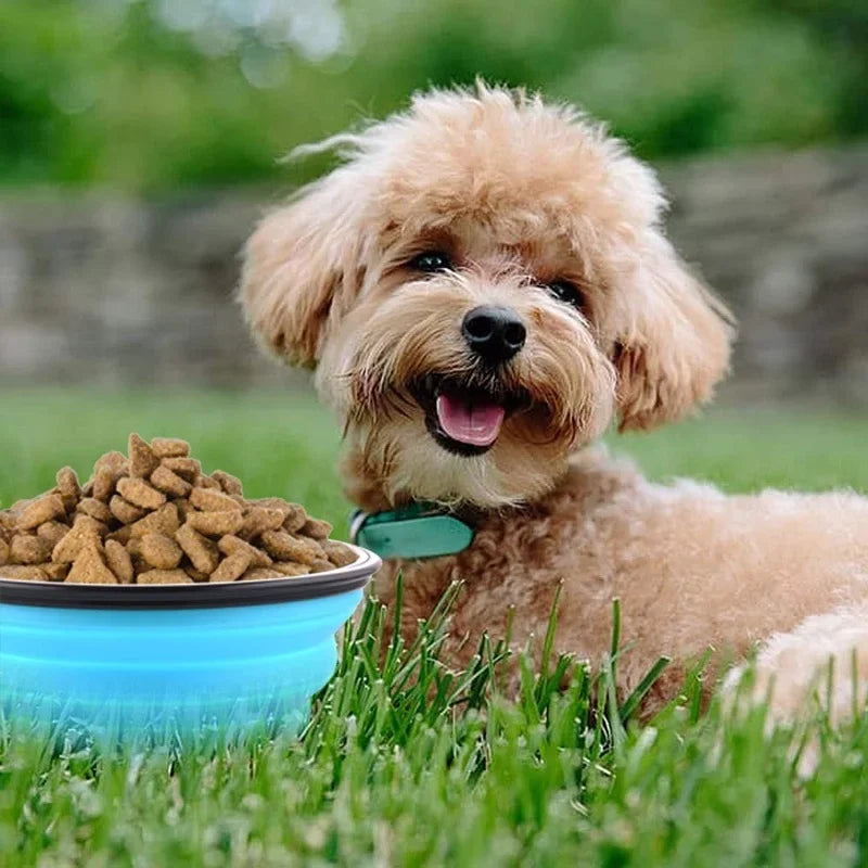 Foldable Silicone Dog Travel Bowl 1500ml Leakproof Pet Feeder for Food Water Portable Outdoor Camping Puppy Accessories Collapsi
