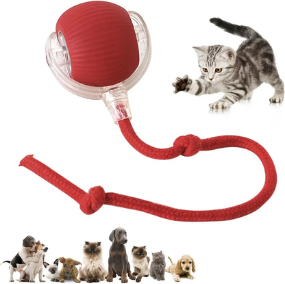 Interactive Cat Toys for Indoor Cats Rechargeable 360° Automatic Moving Cat Toy for Bored Indoor Adult Cats Motion Kitten Toys