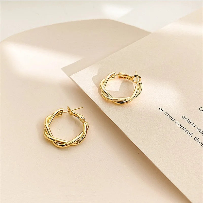 Needle Korean Twist Ear Ring Simple Earrings OL Commuter Exquisite Elegant Earrings All-match Earrings