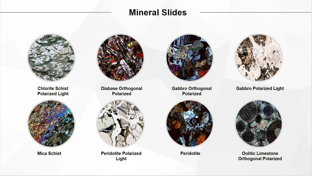 50 Pieces Set School Supplies Microscope Mixed Histology Prepared Slides for Educational Student