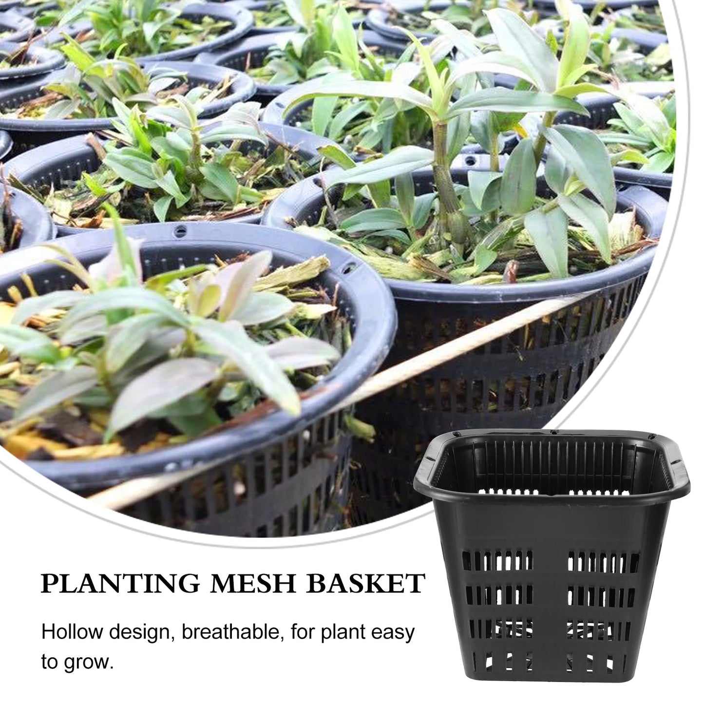 12 Pcs Hydroponic Basin Plant Grow Basket Container Garden Mesh Net Pot Plastic Root Fixing Holder Baskets Hydroponics