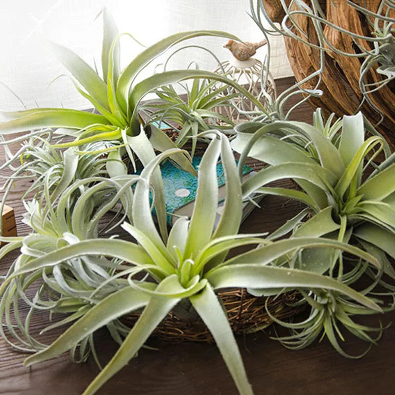Luxury Air grass series big fake plants plastic wall hanging garden decoration plantas artificiales farmhouse home décor