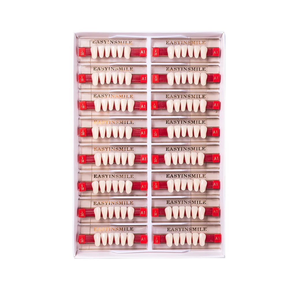 16/12 Sets/ Box Dental Teeth Anterior Posterior Polymer Denture acrylic Tooth A2 A3 2 Layers Dentistry Materials Education Model