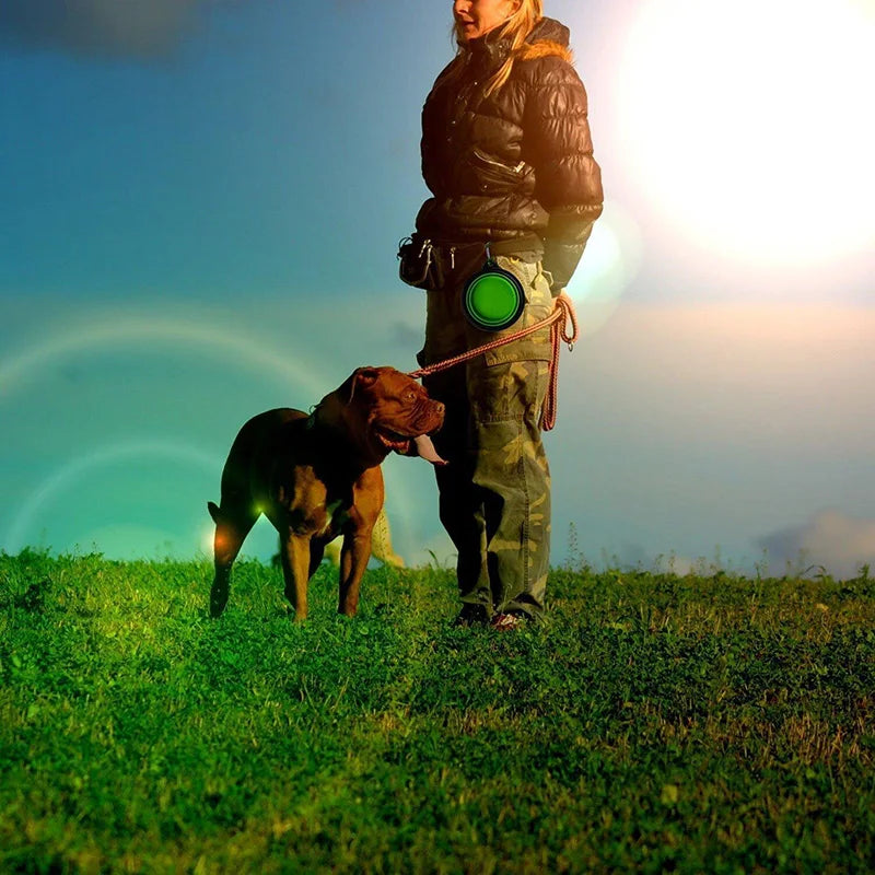 Portable Silicone Pet Feeder Collapsible Car Carry Pet Bowls Food Water Feeding Dog Cat Outdoor Travel food Bowls Container