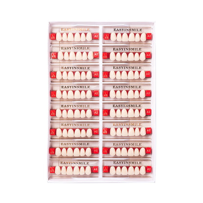 16/12 Sets/ Box Dental Teeth Anterior Posterior Polymer Denture acrylic Tooth A2 A3 2 Layers Dentistry Materials Education Model