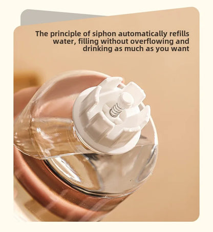 Pet automatic drinking water feeder Integrated large capacity dry and wet separation Ceramic bowl Stainless steel bowl