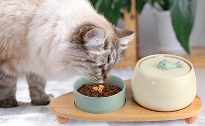 1.3L Ceramic Cat Fountains for Drinking, Anti-burn Cat Water bowl with 1 wooden mat USB Automatic Water Dispenser for Cats
