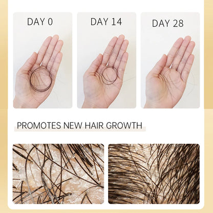 PURC 300ML Biotin Hair Shampoo Scalp Cleaning Nourishing Strengthen Roots Shampoos Hair Care Products for All Hair Types