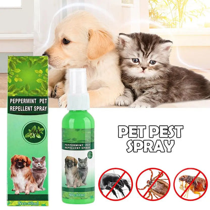 60ml Pet Pest Spray Pet Dog Anti-flea Mites Ticks Drops Kitten Pest Treatment Treatment Flea Puppy Kitten Puppy Spray M2n1