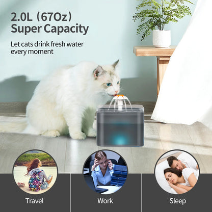 Cat Water Fountain 67oz/2L for Pet Small Dogs Drinking Ultra Silent with LED Lighting Water Dispenser Automatic Drinking