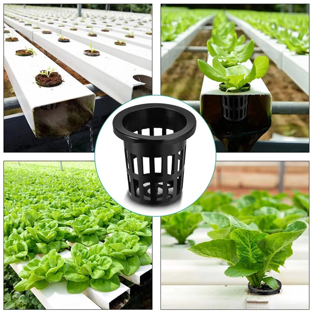 Hydroponic Basket 10pcs Plant Containers Grow Pots High Quality Round Shape Heavy Duty Net Cups Indoor and Outdoor Home Supplies