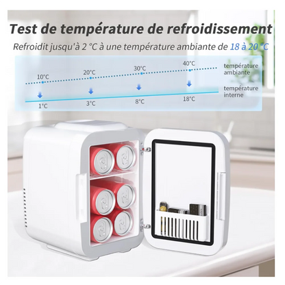 Mini Fridge for Bedroom Fridge with LED Mirror 4L Small Fridge Thermoelectric Heater & Cooler 220 V AC/12V DC Car Office Dorm
