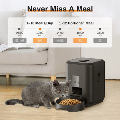 2L Pet Feeder Timing Smart Automatic Dog Pet Feeder For Cats Dog Button WIFI APP Intelligent Dry Food Dispenser Dog Bowl