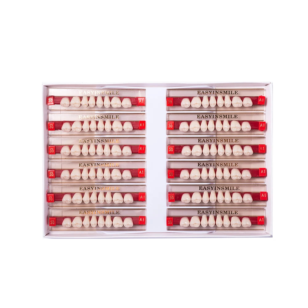 16/12 Sets/ Box Dental Teeth Anterior Posterior Polymer Denture acrylic Tooth A2 A3 2 Layers Dentistry Materials Education Model
