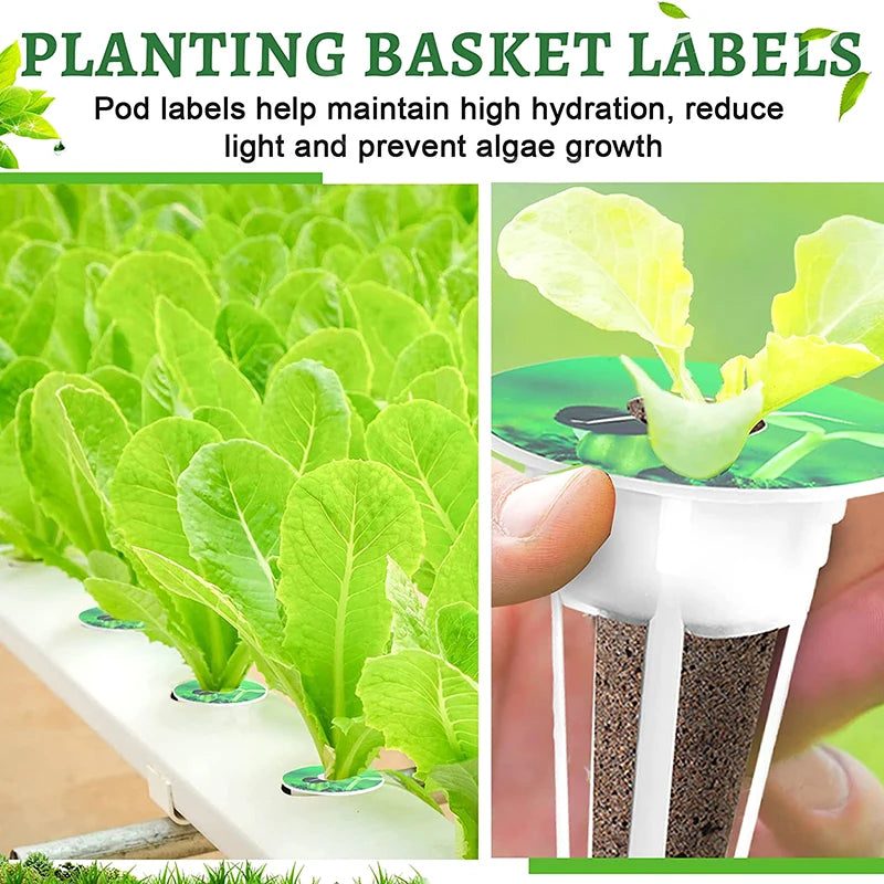 Fully-Loaded 25/121pcs Hydroponic Gardening Kit with Grow Baskets, See-through Insulation Lids, Sponges, and Labels