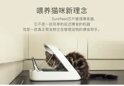 Surefeed smart chip recognition induction multi-cat automatic feeder wet food preservation pet cat bowl insect control gift chip
