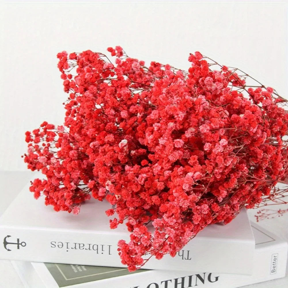 130g Natural Dried Preserved Flowers Babys Breath Home Decoration Natrual Gypsophila Wedding Decor Artificial Flower Photo Props