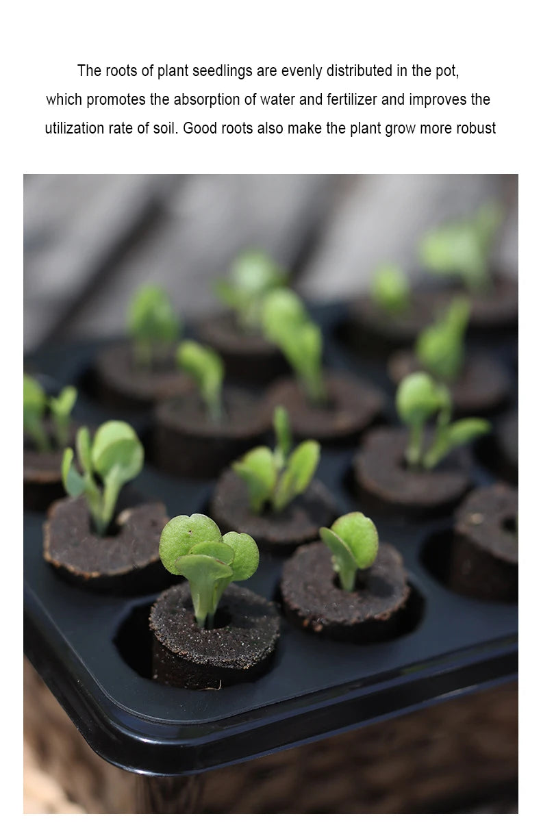 20 Hole Hydroponic Plant Seedling Pots with Intelligent Fill Light Seedling Tray for Fruit Vegetable Gardening Planting Supplies