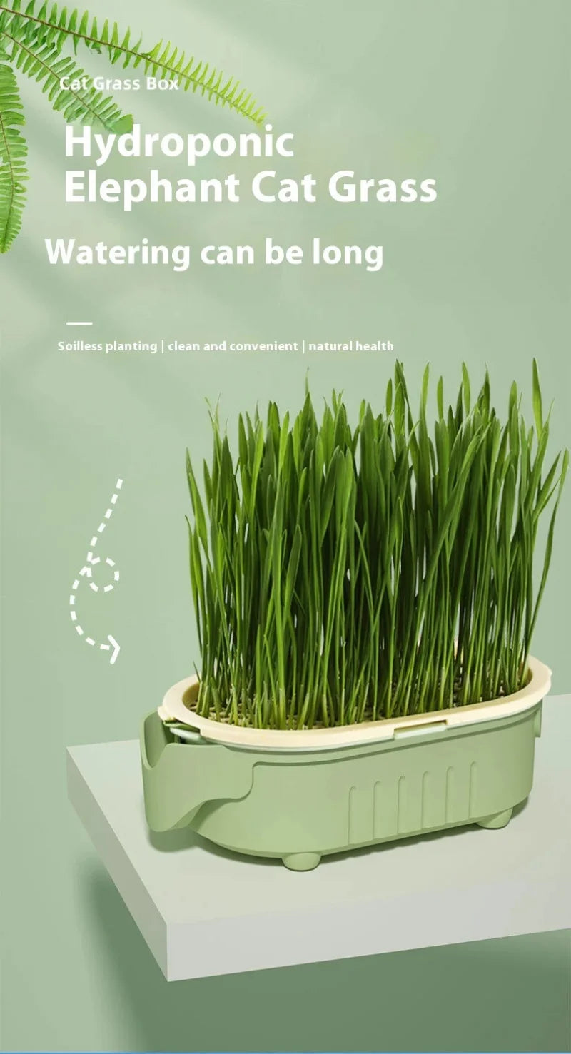 Hydroponic Natural Cat Grass Growing Kit-Organic Wheat Grass Seeds For Digestive Health & Hairball Control,With Potting Soil Set