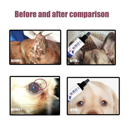 Pet Dog Cat Anti Flea Drops 100ml Insectcide Flea Lice Insect Remover Spray Flea And Tick Concentrate Formula Pet Flea Remover