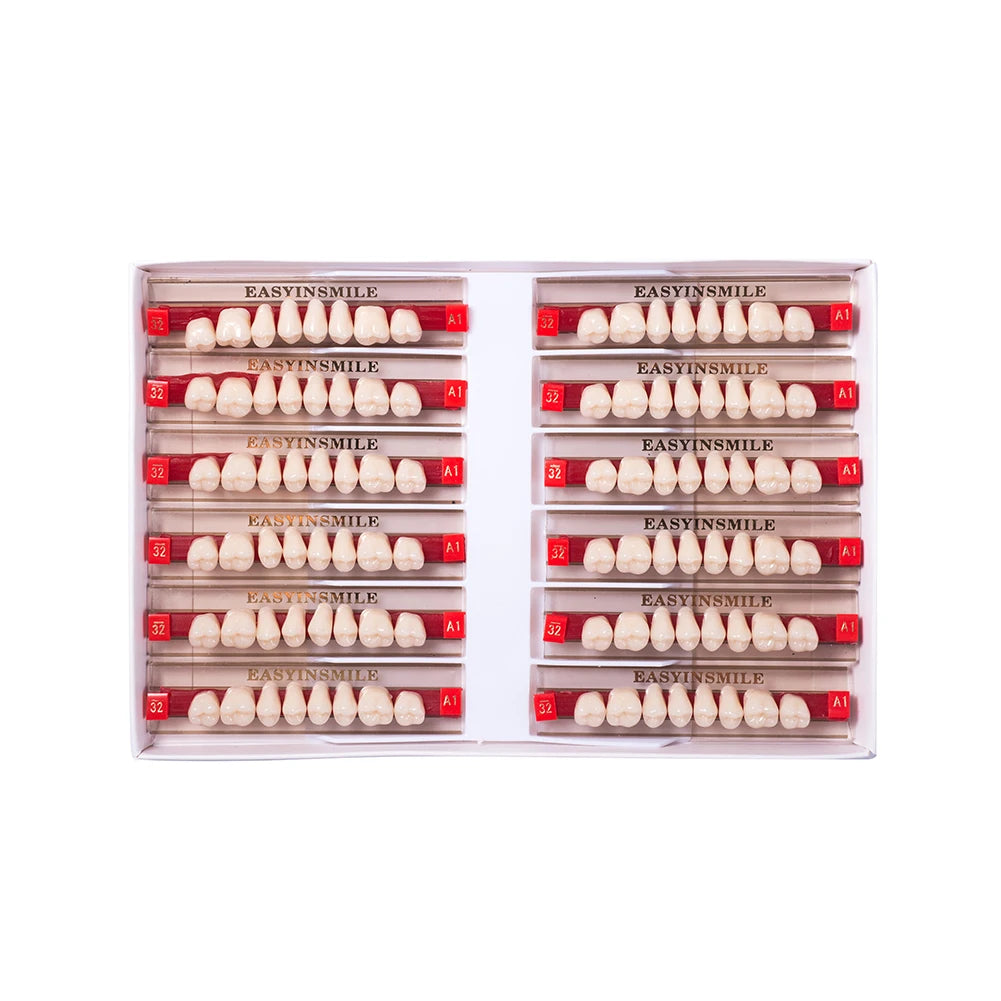 16/12 Sets/ Box Dental Teeth Anterior Posterior Polymer Denture acrylic Tooth A2 A3 2 Layers Dentistry Materials Education Model