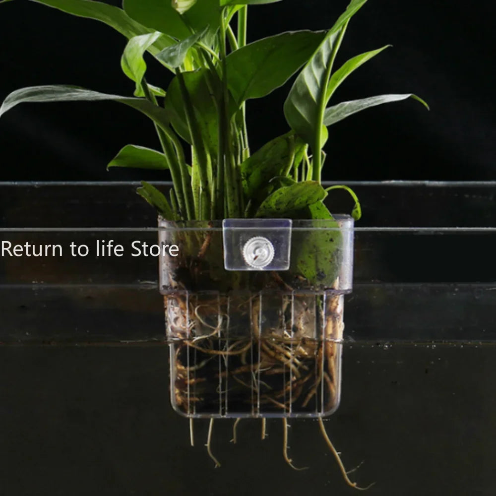Fish Aquarium Water Grass Cup Multiple Plant Hydroponics Hydroponic Planting Basket For Fish Tank Landscape Home Garden