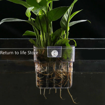 Fish Aquarium Water Grass Cup Multiple Plant Hydroponics Hydroponic Planting Basket For Fish Tank Landscape Home Garden