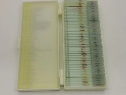 50 Pieces Set School Supplies Microscope Mixed Histology Prepared Slides for Educational Student