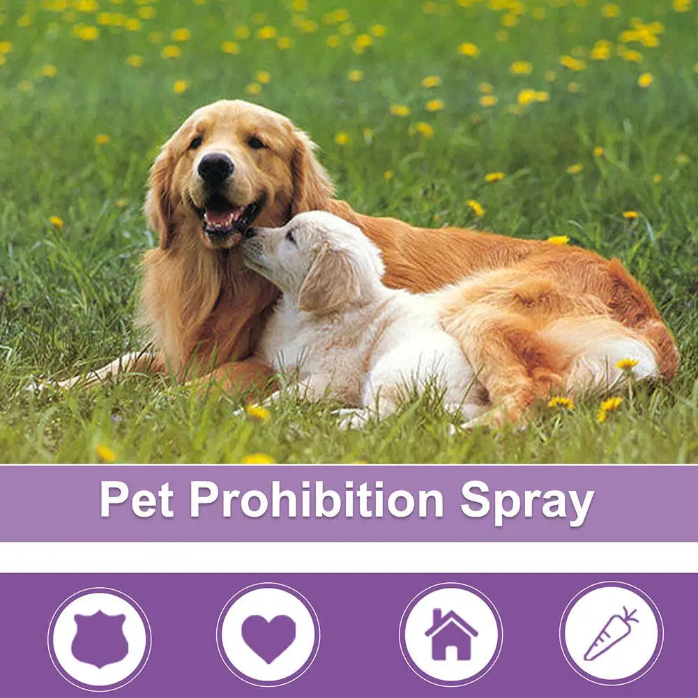 Pet Calming Spray Pet Supplies Pets Pheromone Calming Spray Improve Estrus Agitation Pet Anxiety Relief Spray Cat Dog Health