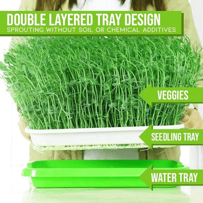 Microgreens Sprouter Tray Hydroponic / Sprouting Tray For Sprouts Vegetable Horticultural Garden DIY Nursery Potted