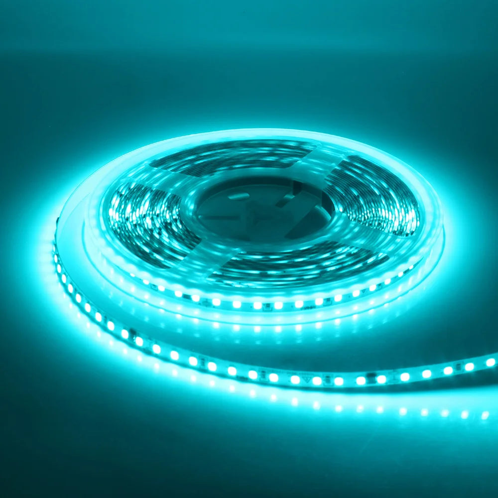 5m 10m 20m 50m LED Strip Light AC 220V 230V 240V IP55 2835 120 LEDs Flexible Ribbon Rope Lights Tape 9 Colors Home Decoration