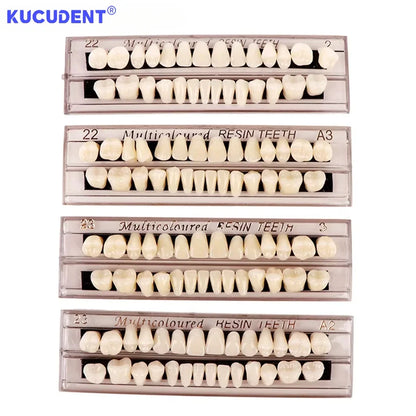 28teeth Resin Denture Teeth Dental Synthetic Resin Teeth Teeth Teaching Model Permanent Teeth Model Dental Material