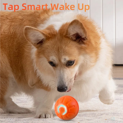 Smart Jumping Ball Pet Toy Auto-Moving Chew-Resistant with USB Charge for Dogs Cats Interactive Play