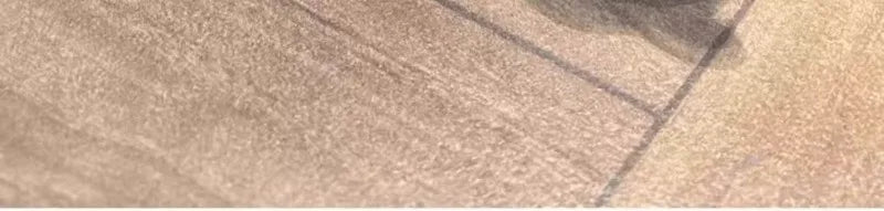 Interactive Cat Toy, Moving Simulation Mouse, Automatic Electronic Mice, Cat Vibrating Mouse Toys for Kitten Indoor Exercise