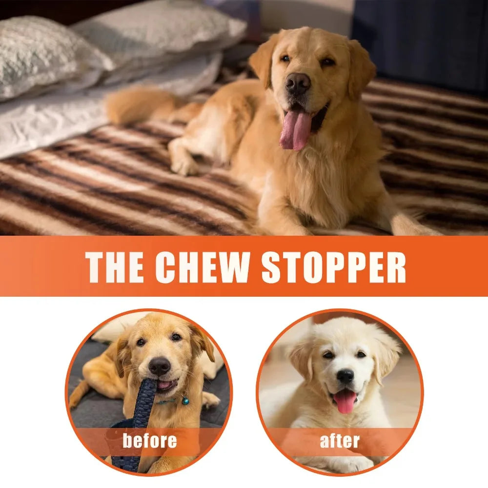 Premium Grooming Spray Dog Spray Deodorizer Perfume For Dogs - Dog Cologne Spray Long Lasting Dog Sprays - Dog Perfume Spray Lon