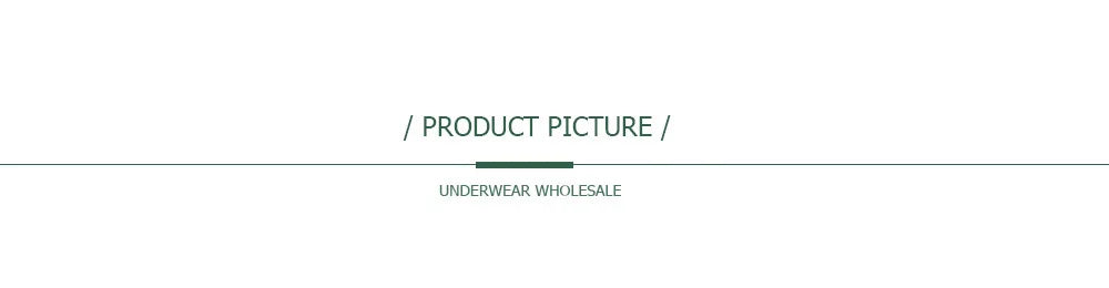 5 PCS/Set Sexy Ladies Transparent Lace Lingerie Panties Woman Cotton Crotch Solid Color Briefs Underwear